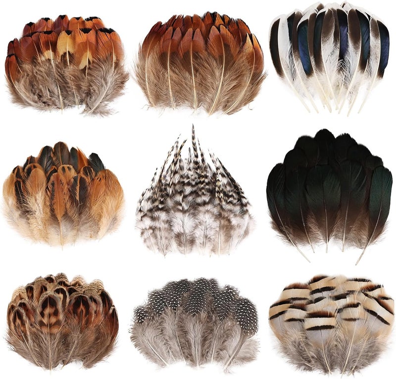 Daieeparty 270pcs Small Pheasant Feathers 9 Style Mixed Feathers Natural Feathers for Crafting Wedding Dream Catcher Hats Decoration - Image 1